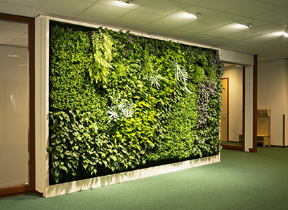植物幕墙案例2